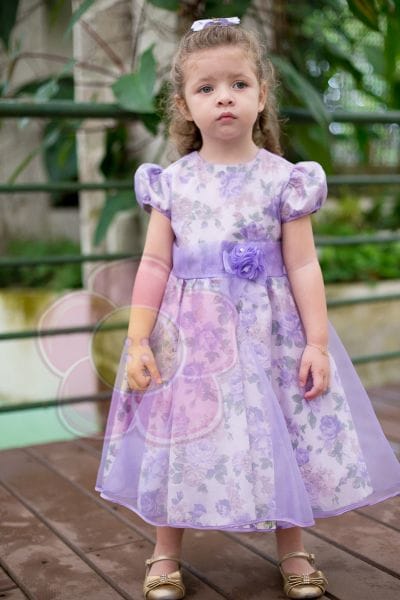 Vestido da Princesinha Sofia para aniversrio